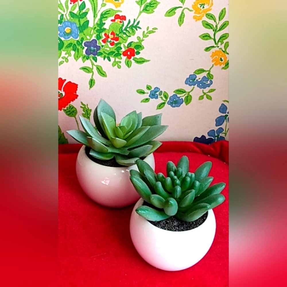 Cute Faux Succulents - Set of Two